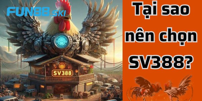 Vì sao nên tham gia Sv388 ngay hôm nay?